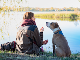 A woman and her attentive dog share a peaceful moment by the lake, their connection evident as she gestures while speaking—a beautiful illustration of the unspoken bond that makes us wonder how our furry companions show their love.